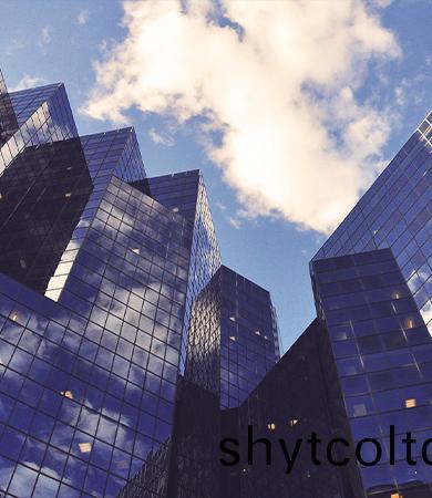 公(gong)司(si)簡(jiǎn)介(jie)